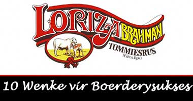 10 Wenke vir Boerderysukses