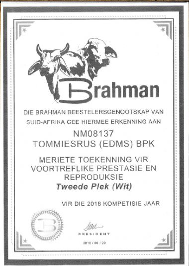 Brahman Toekenning