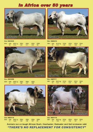 Page 3 - 