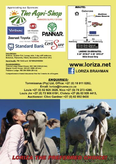 Page 4 - 