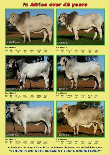 Page 3 - 